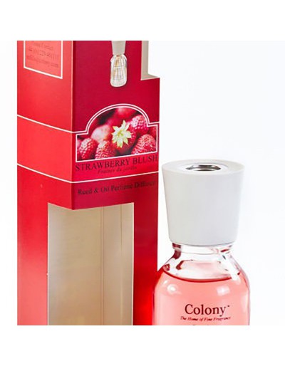 Kolonie Erdbeer-Diffusor