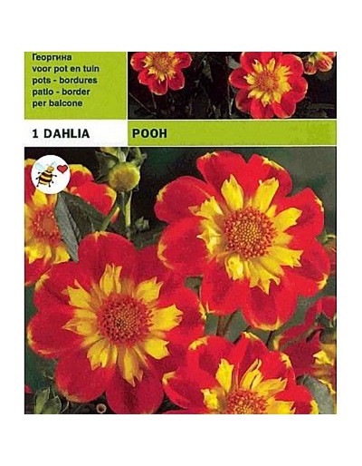 Pooh de collier de Dahlia