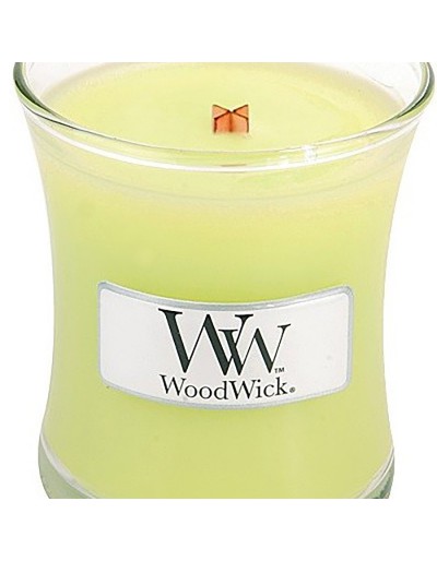 Mini citronnelle de bougie de Woodwick