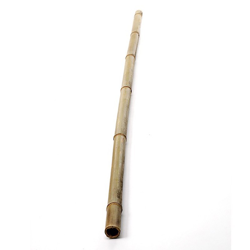 Bamboo cane 3 m