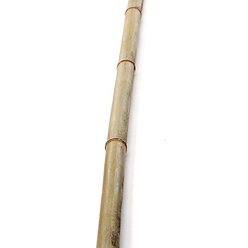Canna di bambù 3 m - Anticadutavasi