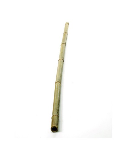 Bambu käpp 2 m