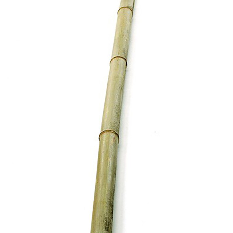 Canna di bambù 2 m - Anticadutavasi