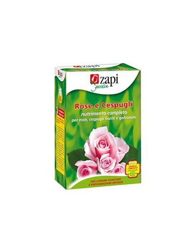 Zapi granular fertilizer roses and bushes