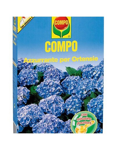 Blue compo for hydrangeas