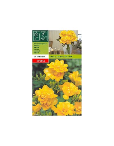 Freesia double yellow 20 bulbs