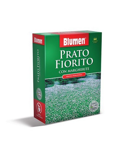 Marguerites fleuries de pelouse de Blumen 500 gr