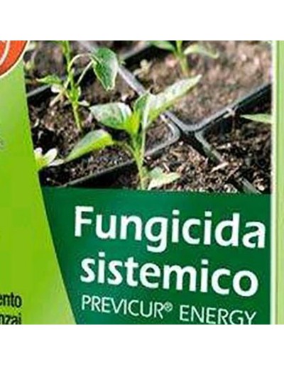 Bayer previcur energy fungicida sistemico