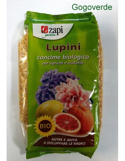 NUTRILIFE LUPINI BIO 1 kg se traduce como &quot;NUTRILIFE LUPINI BIO 1 kg&quot; en español.