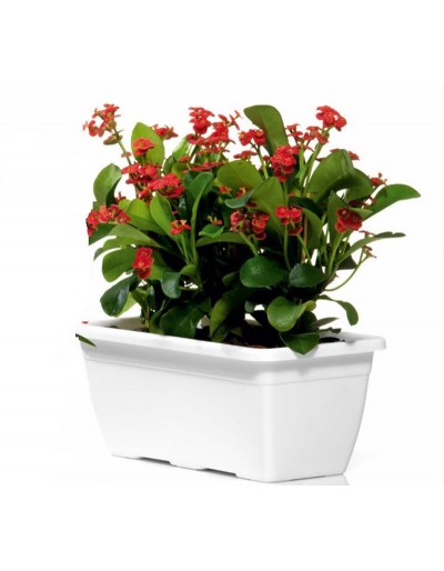 Rectangular Flowerpot Naxos 60 cm White