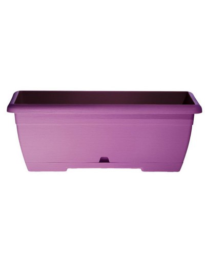 OASI MINI CASSETTE 25cm LILAC com sub-cassete