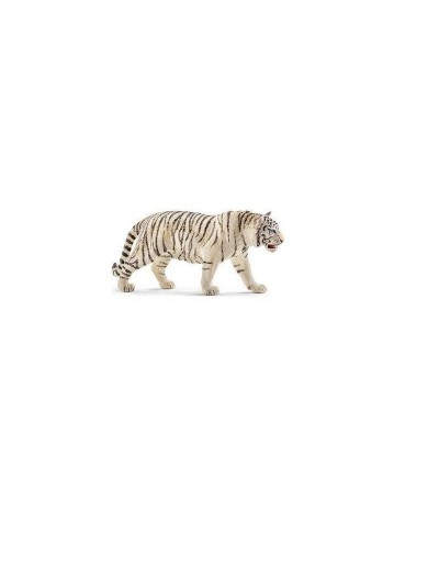 TIGRE BRANCO