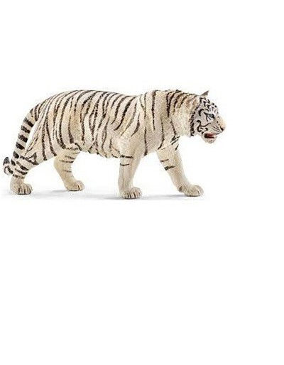 TIGRE BRANCO