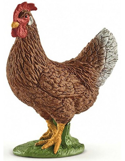 Hen