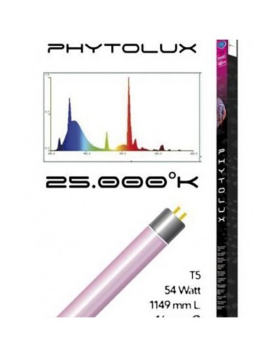 Phytolux lamp for pink plant