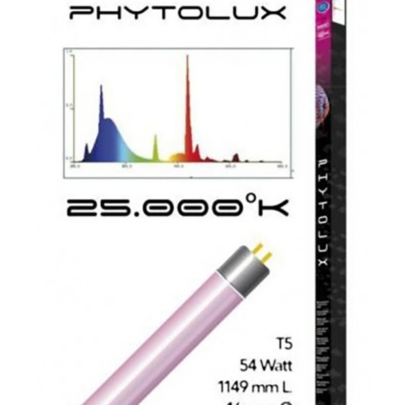 Phytolux lamp for pink plant