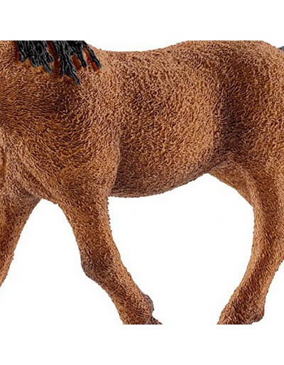 Bashkir mar encaracolado schleich