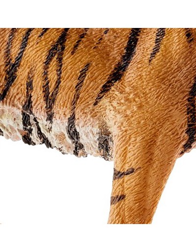Tiger schleich wildes Leben