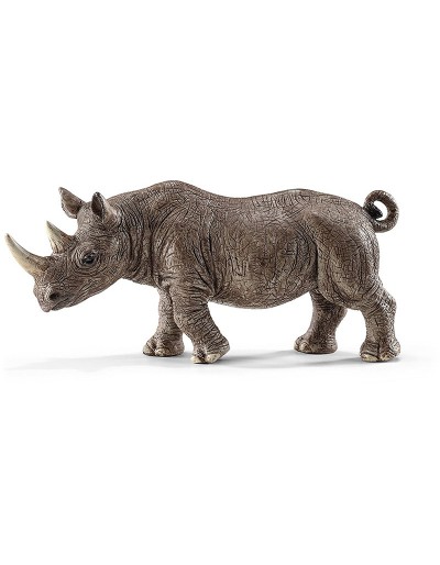 Rhino