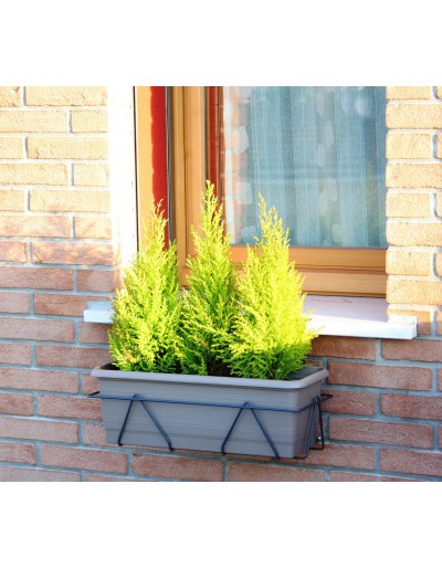 Porta-plantas para janelas 60 cm Antracite, máxima adaptabilidade a peitoris
