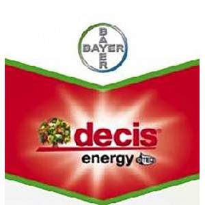 DECIS ENERGY LUB TEQ 100ml