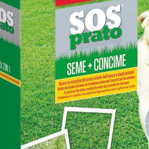 Mezcla de semillas de Sos Lawn Meadow