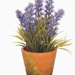 Dino Bianchi Artificial Lavender in Flowerpot
