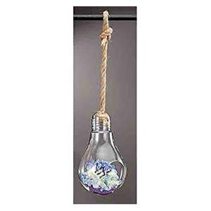Decor glass app m.light bulb