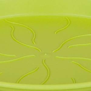 Belo disco verde limão