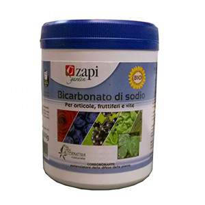 SODIO BICARBONATO 500g