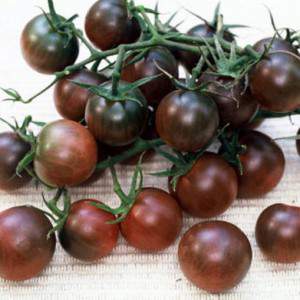tomates cerises foncées