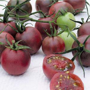 Tomates cherry rojos oscuros