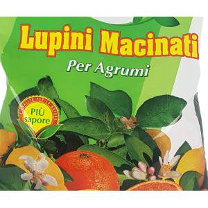 MACINATI LUPINS für Zitrusfrüchte 1kg