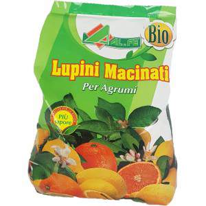 LUPINI BRILLATI KG 25 - concime per agrumi limoni aranci mandarini koumquat