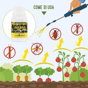 Aceite de neem: cómo usarlo