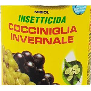 Insetticida cocciniglia invernale Olio Bianco 500ml