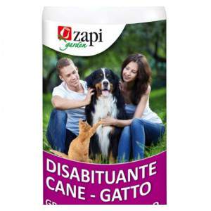 Perro desacostumbrado - gato Zapi - zoom