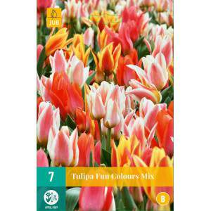 Lâmpadas de tulipa de cores divertidas