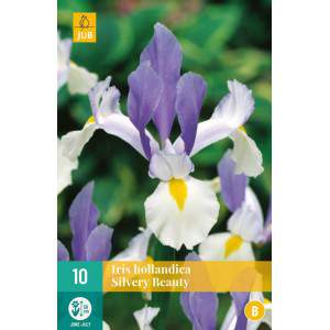 Silver beauty  iris bulbs