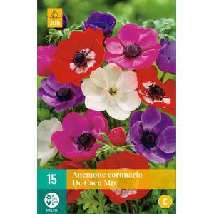 Anemone coronaria De Caen Bulbs mix