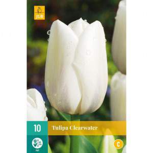 lâmpada tulipa de água clara