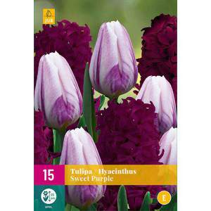 Bulbes de tulipes et jacinthes Mélange violet doux