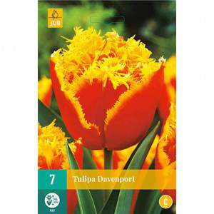Lâmpada de tulipa davenport vermelha e amarela