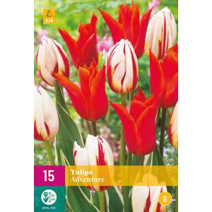 Lâmpadas de tulipa de aventura