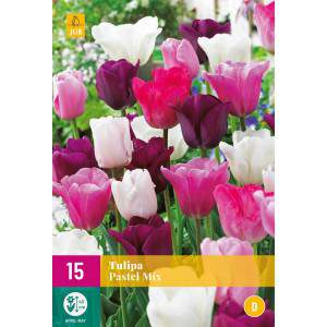 Pastel Mix tulip bulbs