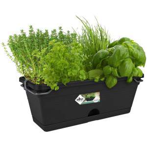 Elho Green Basics Trough Mini Allin1 Jardinera colgante para balcón