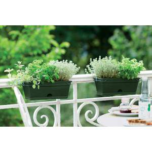 Elho Green Basics Trough Mini Allin1 30 - Planter - Leaf Green - Outdoor &amp; Balcony - L 30.2 x W 19.5 x H 15.6 cm