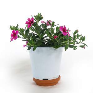 VASO CALIBRACHOA 14cm ROSA