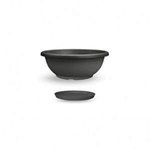 Naxos Bowl 50 cm with Anthracite Saucer