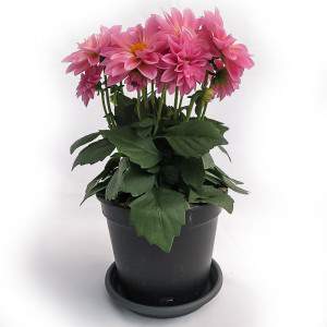 DALIA VASE 14cm ROSA